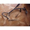 Faisceau WRF 250 de 2002