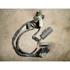 Faisceau CR 250 de 2004