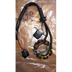 Stator RMZ 450 de 2005