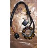 Stator RMZ 450 de 2005