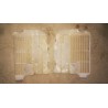 Grills radiateur CR 125 de 1998