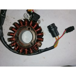 Stator 250 310 TE