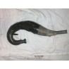 Echappement 125 GS de 1996
