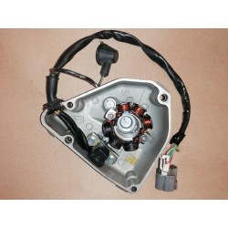 Carter et stator KXF rmz 250