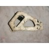 Cache KX 125 250 500