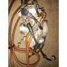 Carburateur HVA 250 TE