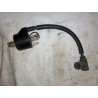 Bobine Gas 300 de 2004
