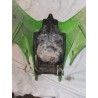 Reservoir KXF 250 de 2005