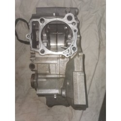 Carters moteur YZF 250 de 2016