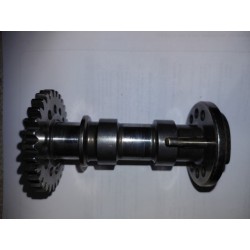 Echappement 250 TC de 2013